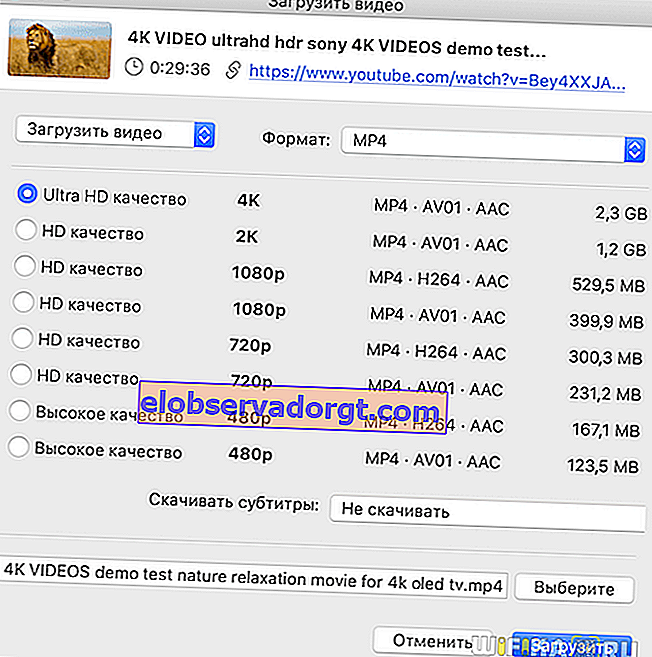 Videoparameter zum Download